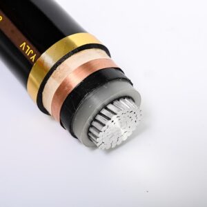 Medium Voltage Single Core Aluminium Wire Armoured Cables